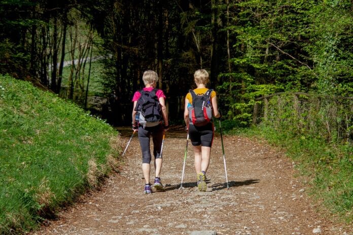 sports, nordic walking, woman