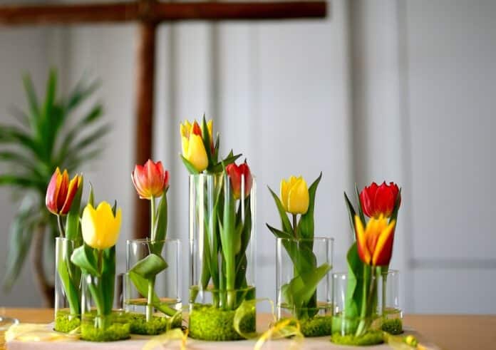 tulips, vase, decoration